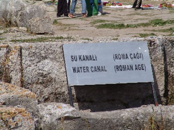 99.jpg